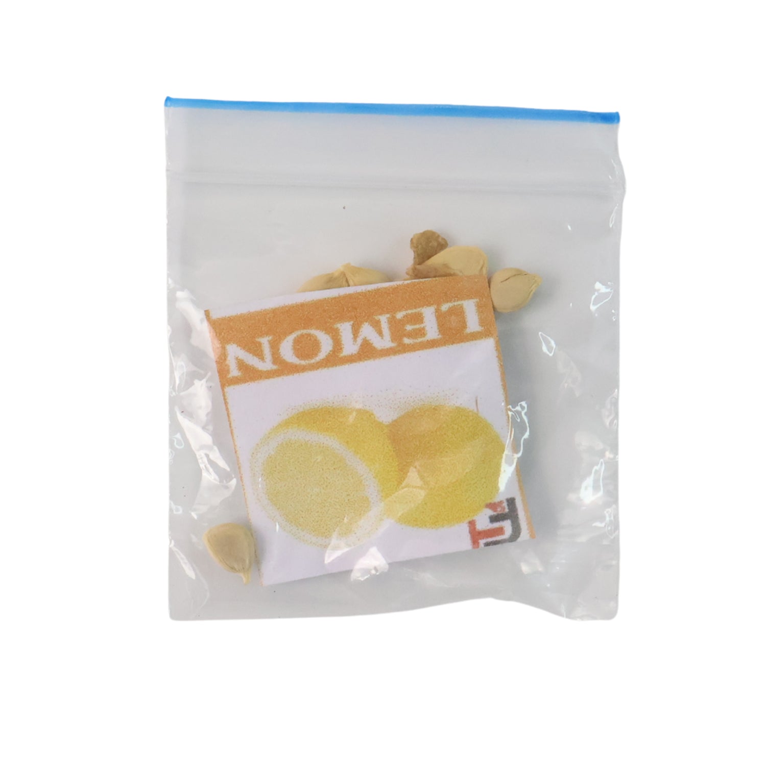 Fruit Seeds Set Fruit Seeds Set